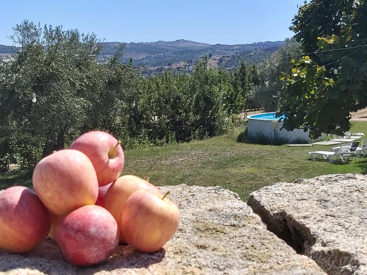 Casa Do Feitor - Douro - Quinta Da Cabrida Villa Sendim  Eksteriør bilde