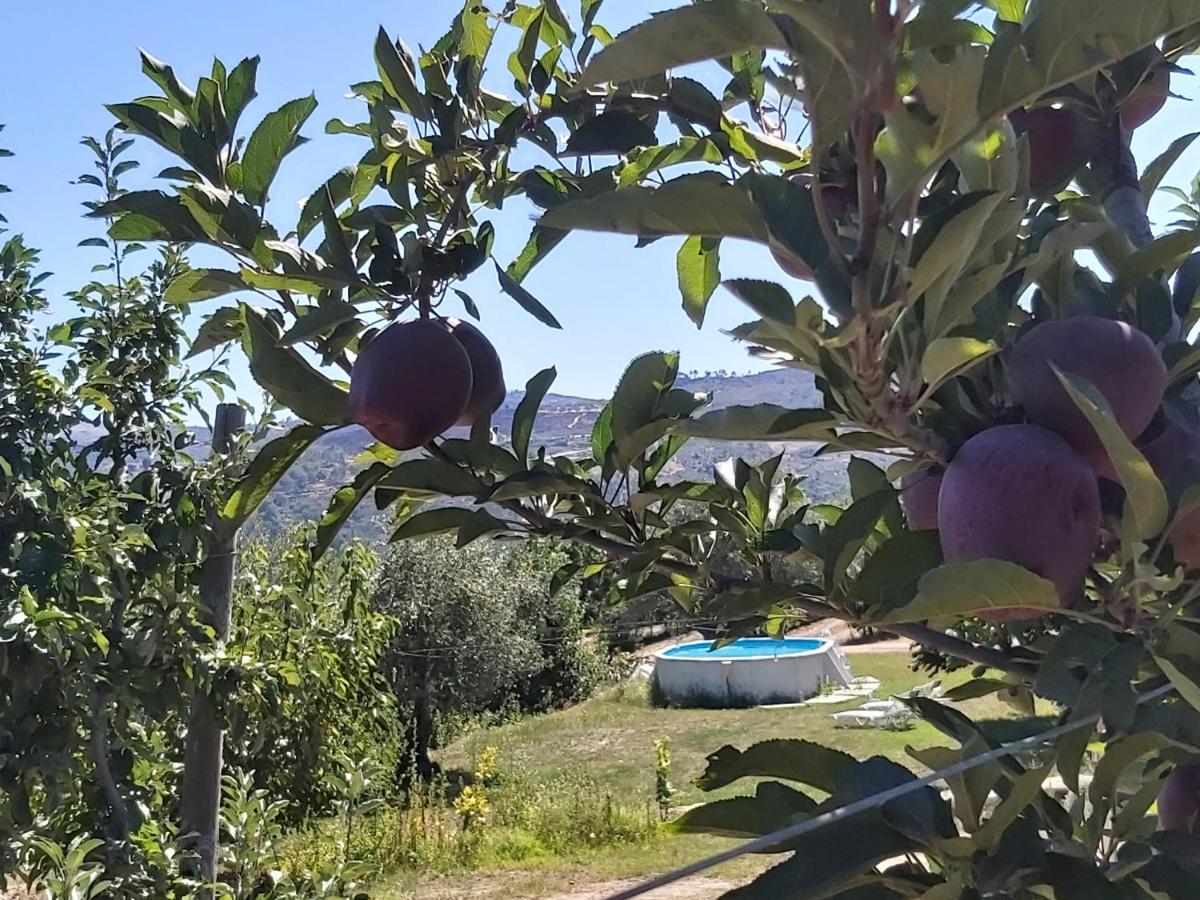 Casa Do Feitor - Douro - Quinta Da Cabrida Villa Sendim  Eksteriør bilde