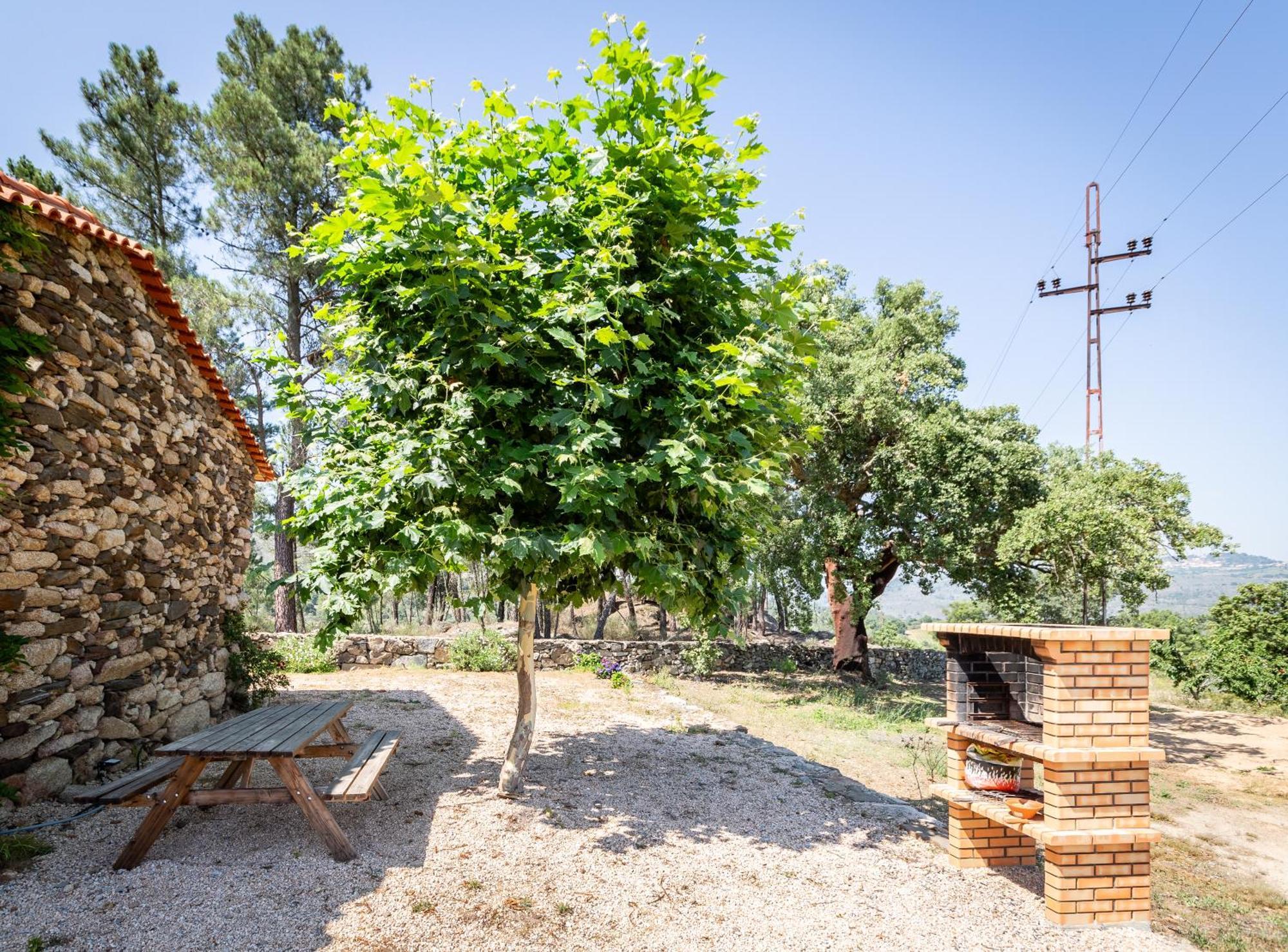 Casa Do Feitor - Douro - Quinta Da Cabrida Villa Sendim  Eksteriør bilde