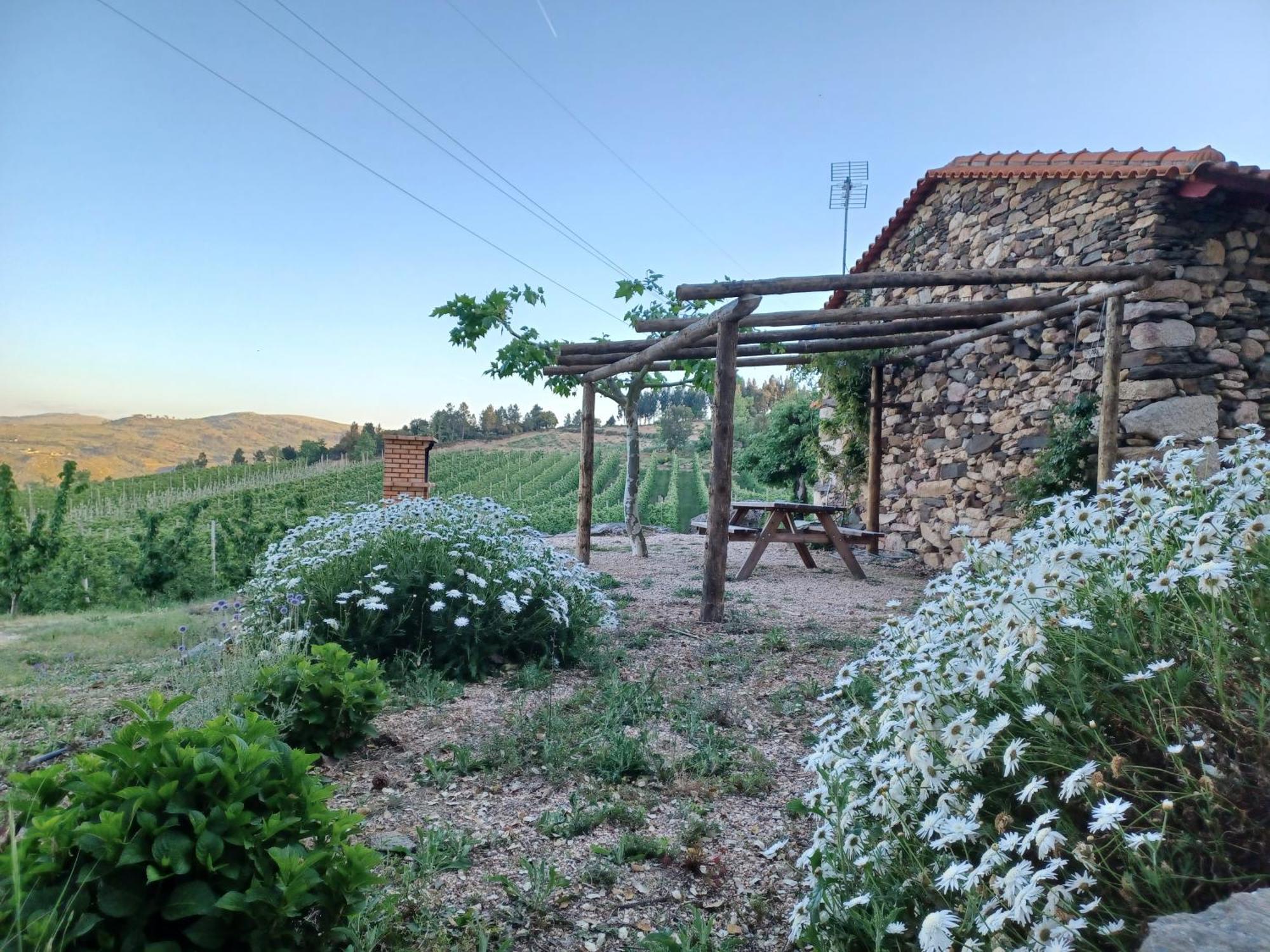 Casa Do Feitor - Douro - Quinta Da Cabrida Villa Sendim  Eksteriør bilde