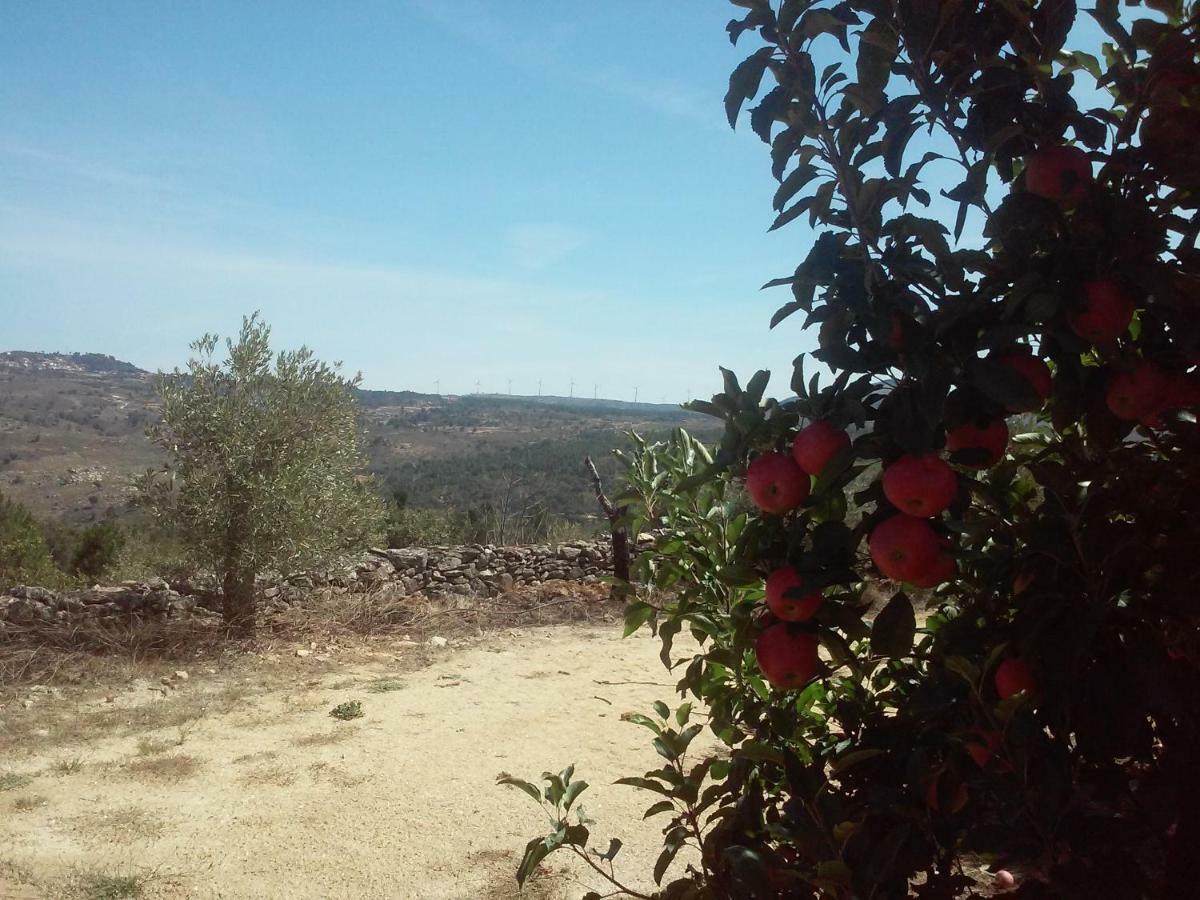 Casa Do Feitor - Douro - Quinta Da Cabrida Villa Sendim  Eksteriør bilde