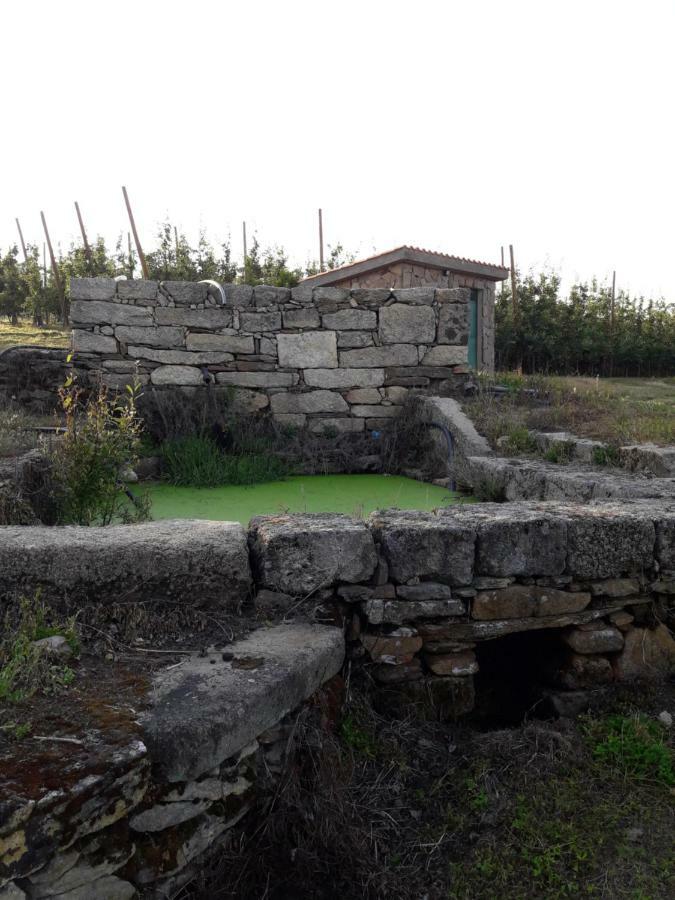 Casa Do Feitor - Douro - Quinta Da Cabrida Villa Sendim  Eksteriør bilde