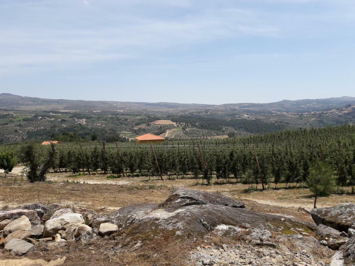 Casa Do Feitor - Douro - Quinta Da Cabrida Villa Sendim  Eksteriør bilde
