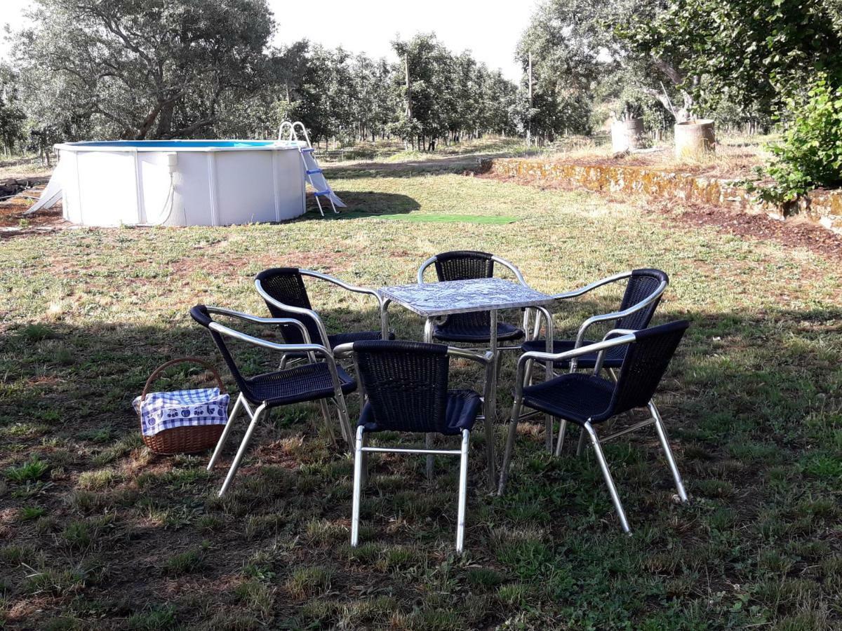 Casa Do Feitor - Douro - Quinta Da Cabrida Villa Sendim  Eksteriør bilde